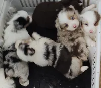 processed/9d07f616-b34f-44dd-8df2-a7db420d142c/listing/937f9f27-a019-4ca3-aafc-72ffe65b2259/81d08045-f717-47b4-b072-f4bce3f3d6d4