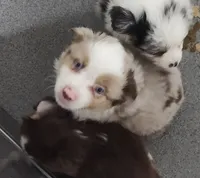 processed/9d07f616-b34f-44dd-8df2-a7db420d142c/listing/937f9f27-a019-4ca3-aafc-72ffe65b2259/a9d1eacd-6642-4dff-bd96-59a6add667f0