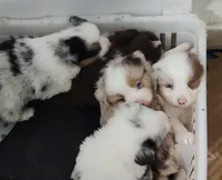 processed/9d07f616-b34f-44dd-8df2-a7db420d142c/listing/937f9f27-a019-4ca3-aafc-72ffe65b2259/b00e6a0b-061d-40a9-8aef-923d4158861c