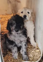 processed/9d07f616-b34f-44dd-8df2-a7db420d142c/listing/9540da9c-8e84-41da-b6af-0804e536f1ac/11c3dd35-a189-4ff3-af34-1e7801a0f4db