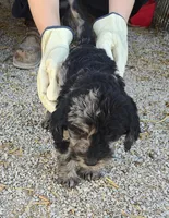 processed/9d07f616-b34f-44dd-8df2-a7db420d142c/listing/9540da9c-8e84-41da-b6af-0804e536f1ac/58a6864e-a7d1-4dd1-a454-b3a909ce8ecf