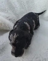 processed/9d07f616-b34f-44dd-8df2-a7db420d142c/listing/9540da9c-8e84-41da-b6af-0804e536f1ac/74845fed-86bb-4637-871f-368d8716f6d9