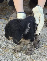 processed/9d07f616-b34f-44dd-8df2-a7db420d142c/listing/9540da9c-8e84-41da-b6af-0804e536f1ac/8bf101cf-e91c-4ddb-b9b2-d2c3f6943f2e