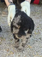 processed/9d07f616-b34f-44dd-8df2-a7db420d142c/listing/9540da9c-8e84-41da-b6af-0804e536f1ac/8d36ea24-469c-43c6-95a9-48801f1cb04f