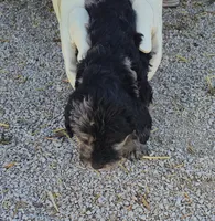 processed/9d07f616-b34f-44dd-8df2-a7db420d142c/listing/9540da9c-8e84-41da-b6af-0804e536f1ac/fadab300-3f10-4e87-a6c2-67656c390c5e