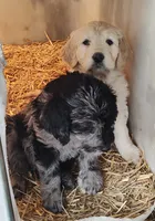 processed/9d07f616-b34f-44dd-8df2-a7db420d142c/listing/a33611fc-b43e-44d8-8c14-35400bc9ab65/46ef00e5-b7d0-4006-8994-44e4a3dd7f5f