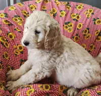 processed/9d07f616-b34f-44dd-8df2-a7db420d142c/listing/a33611fc-b43e-44d8-8c14-35400bc9ab65/64b5c45c-354e-4d7f-bef1-1329c903a33c