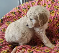 processed/9d07f616-b34f-44dd-8df2-a7db420d142c/listing/a33611fc-b43e-44d8-8c14-35400bc9ab65/900bac00-a0f9-479d-893f-ff89328e91bb