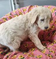 processed/9d07f616-b34f-44dd-8df2-a7db420d142c/listing/a33611fc-b43e-44d8-8c14-35400bc9ab65/df0fdd8d-858b-490b-bcd7-763015ca9ba0