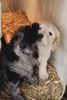 processed/9d07f616-b34f-44dd-8df2-a7db420d142c/listing/a33611fc-b43e-44d8-8c14-35400bc9ab65/eac18f0c-283c-42c8-a160-b4cef957ee8a