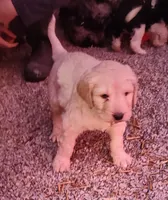 processed/9d07f616-b34f-44dd-8df2-a7db420d142c/listing/a33611fc-b43e-44d8-8c14-35400bc9ab65/ef5a8190-ea88-488f-b189-a49c21dbfa70