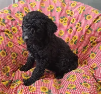 processed/9d07f616-b34f-44dd-8df2-a7db420d142c/listing/bb76024c-e9ef-4f51-b5f6-5cd7ba429bfd/25127ce7-a412-47cc-bc8a-5ec19e57dea3