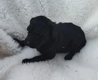 processed/9d07f616-b34f-44dd-8df2-a7db420d142c/listing/bb76024c-e9ef-4f51-b5f6-5cd7ba429bfd/744eb77e-5c82-4a11-a991-4442eef2e15e