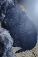 processed/9d07f616-b34f-44dd-8df2-a7db420d142c/listing/bb76024c-e9ef-4f51-b5f6-5cd7ba429bfd/87927b35-40fa-4f93-9108-078460fc7613