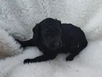 processed/9d07f616-b34f-44dd-8df2-a7db420d142c/listing/bb76024c-e9ef-4f51-b5f6-5cd7ba429bfd/c9fff625-9670-4514-8cf0-2ba6cc056482