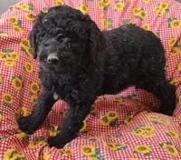 processed/9d07f616-b34f-44dd-8df2-a7db420d142c/listing/bb76024c-e9ef-4f51-b5f6-5cd7ba429bfd/dc5ac093-446f-49ca-8380-97f44b302959