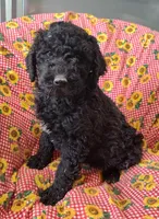 processed/9d07f616-b34f-44dd-8df2-a7db420d142c/listing/bb76024c-e9ef-4f51-b5f6-5cd7ba429bfd/e57bf361-1a8d-4807-8ff1-f4229fede1d6