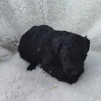 processed/9d07f616-b34f-44dd-8df2-a7db420d142c/listing/bb76024c-e9ef-4f51-b5f6-5cd7ba429bfd/ff596b14-aaa2-4a52-8c65-266f0be9840b