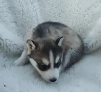 processed/9d07f616-b34f-44dd-8df2-a7db420d142c/listing/e432d84d-529b-4c7a-b364-eb3be2915a8f/7ed9cb3c-7809-4506-a54e-035b96650f33