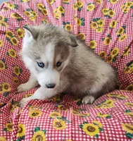 processed/9d07f616-b34f-44dd-8df2-a7db420d142c/listing/e432d84d-529b-4c7a-b364-eb3be2915a8f/b6ad4668-d219-4446-9397-b96dc6bf6636