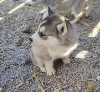 processed/9d07f616-b34f-44dd-8df2-a7db420d142c/listing/e432d84d-529b-4c7a-b364-eb3be2915a8f/cd9b2ac1-8143-4b32-bbc9-aa88d8bd65f2