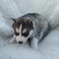 processed/9d07f616-b34f-44dd-8df2-a7db420d142c/listing/e432d84d-529b-4c7a-b364-eb3be2915a8f/e14abd82-3e09-43f0-a797-9efb907c4ebb