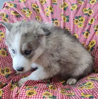 processed/9d07f616-b34f-44dd-8df2-a7db420d142c/listing/e432d84d-529b-4c7a-b364-eb3be2915a8f/e79523e1-382a-44e6-beb7-f3d54f02a504