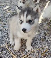 processed/9d07f616-b34f-44dd-8df2-a7db420d142c/listing/e432d84d-529b-4c7a-b364-eb3be2915a8f/fc64306f-1494-4fcb-a7f3-ebf1ce39b4e3