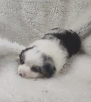 processed/9d07f616-b34f-44dd-8df2-a7db420d142c/listing/eb3e8441-8b9d-4a6a-82a6-d2a253b89024/2dabf63d-b23e-4279-9c41-11be64034de2