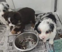 processed/9d07f616-b34f-44dd-8df2-a7db420d142c/listing/eb3e8441-8b9d-4a6a-82a6-d2a253b89024/3201f2c3-7be6-4331-820b-052339c2d96e