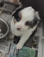 processed/9d07f616-b34f-44dd-8df2-a7db420d142c/listing/eb3e8441-8b9d-4a6a-82a6-d2a253b89024/46df17b6-6ad8-4786-986d-8b353fb0d9ee