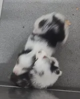 processed/9d07f616-b34f-44dd-8df2-a7db420d142c/listing/eb3e8441-8b9d-4a6a-82a6-d2a253b89024/65a4dfed-6cdb-4def-b4ad-d95511e9b75a