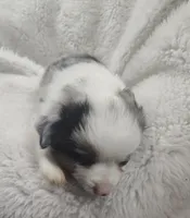 processed/9d07f616-b34f-44dd-8df2-a7db420d142c/listing/eb3e8441-8b9d-4a6a-82a6-d2a253b89024/f1481bec-544e-4817-94f8-929525a1e63d