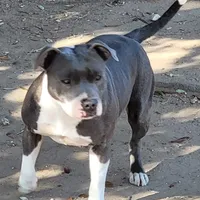 processed/9d0982de-68b5-45b4-8d0a-0ce0e224b46b/facility/11c1d032-71f3-46d9-b0c9-594cc5703cd9