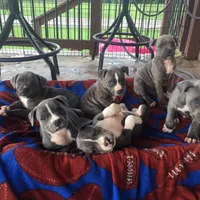 processed/9d0982de-68b5-45b4-8d0a-0ce0e224b46b/facility/2ada95bf-ea6f-4bc1-b173-5b55b708bf0e