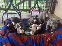 processed/9d0982de-68b5-45b4-8d0a-0ce0e224b46b/facility/2ada95bf-ea6f-4bc1-b173-5b55b708bf0e