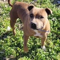 processed/9d0982de-68b5-45b4-8d0a-0ce0e224b46b/facility/417eeb72-c976-4cf9-a021-265da8a7fd1e