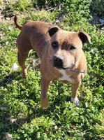 processed/9d0982de-68b5-45b4-8d0a-0ce0e224b46b/facility/417eeb72-c976-4cf9-a021-265da8a7fd1e