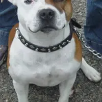 processed/9d0982de-68b5-45b4-8d0a-0ce0e224b46b/facility/455014ab-28c0-4628-beb5-9d9bb1dbc2f4