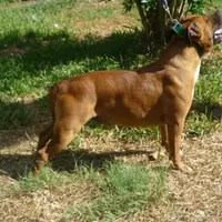 processed/9d0982de-68b5-45b4-8d0a-0ce0e224b46b/facility/47e9bfdd-dc2b-49b7-ab11-22dd797f3537