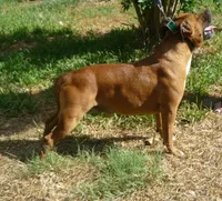 processed/9d0982de-68b5-45b4-8d0a-0ce0e224b46b/facility/47e9bfdd-dc2b-49b7-ab11-22dd797f3537