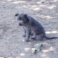 processed/9d0982de-68b5-45b4-8d0a-0ce0e224b46b/facility/c0e053f0-6313-423a-aa98-62c80833bd15