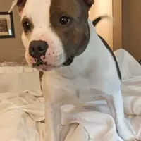 processed/9d0982de-68b5-45b4-8d0a-0ce0e224b46b/facility/c5783894-e2d0-4234-8d63-335fc70db98b