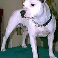 processed/9d0982de-68b5-45b4-8d0a-0ce0e224b46b/facility/c65ea246-0d2e-4d08-8295-8fc9c197d411