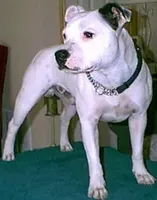 processed/9d0982de-68b5-45b4-8d0a-0ce0e224b46b/facility/c65ea246-0d2e-4d08-8295-8fc9c197d411