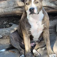 processed/9d0982de-68b5-45b4-8d0a-0ce0e224b46b/facility/cae7c68c-6004-48e4-97d4-38f8e0ff7072