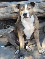 processed/9d0982de-68b5-45b4-8d0a-0ce0e224b46b/facility/cae7c68c-6004-48e4-97d4-38f8e0ff7072