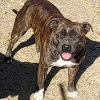 processed/9d0982de-68b5-45b4-8d0a-0ce0e224b46b/facility/f0ef95e1-edf9-43c6-b133-858af2544fc8