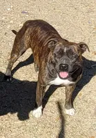 processed/9d0982de-68b5-45b4-8d0a-0ce0e224b46b/facility/f0ef95e1-edf9-43c6-b133-858af2544fc8