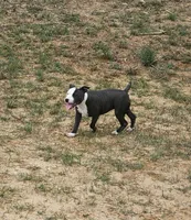 processed/9d0982de-68b5-45b4-8d0a-0ce0e224b46b/listing/1b15a749-6d06-4930-976a-6414e8b9f5ee/0e72ccb2-ec60-44e5-bdc7-47370579e269